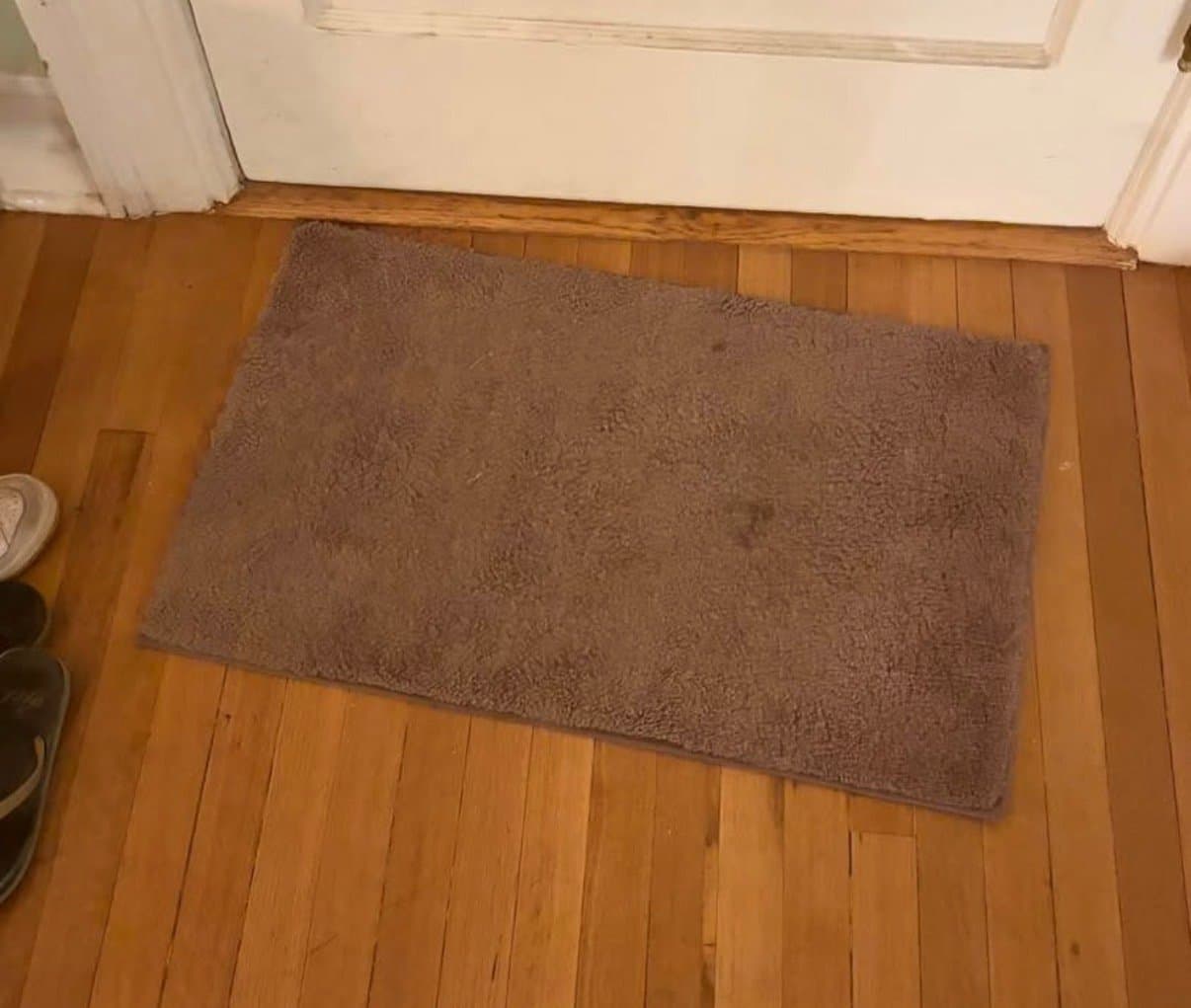 Purple Door Mat